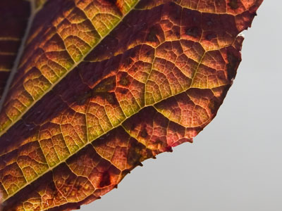 The best part of my day is when I can get away from the machines and people and feel the sun on my face.