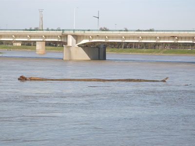 And then the remnants of a Viking ship floated past.