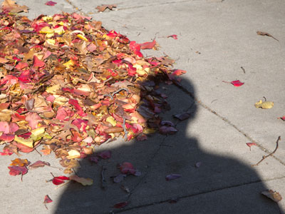 Probably too small for me to jump into.