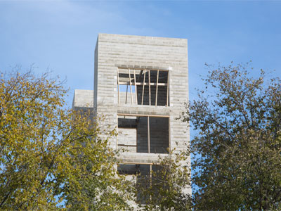 It grew up among the trees.