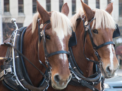 To be honest, those bangs don`t look good on you.