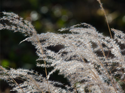 On Small Business Saturday, this is where I want to be.