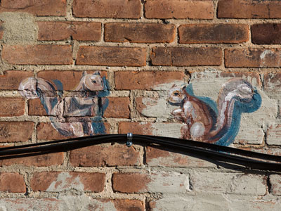 The eternal squirrels.