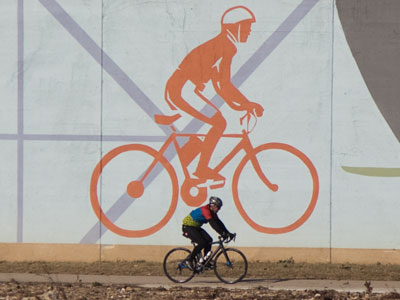 All creatures great and small.