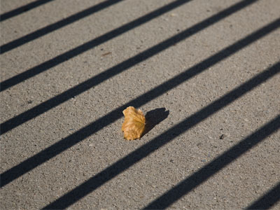 When the sun is this low at 1:25pm, something`s wrong.