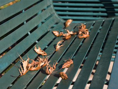 There was hardly anybody else around this afternoon.  They missed a gorgeous day to be outside.