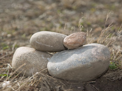 What I take pictures of in December.