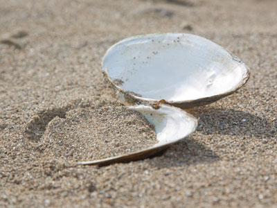 The river is more complex than I thought it was.