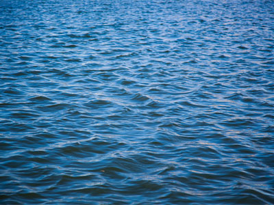 Kiss me, Miami, thou most constant one!  I love thee more for that thou changest not.  PAUL LAURENCE DUNBAR