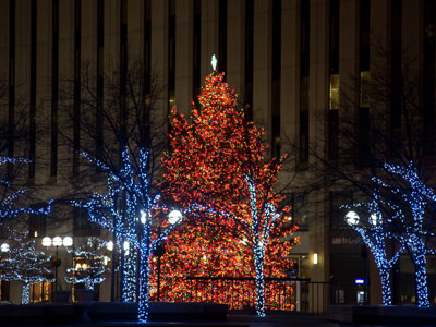 The blue lights looked better than I expected them to.