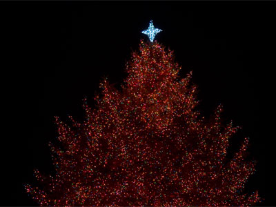 Every inch of the tree was covered in lights.  Good job!