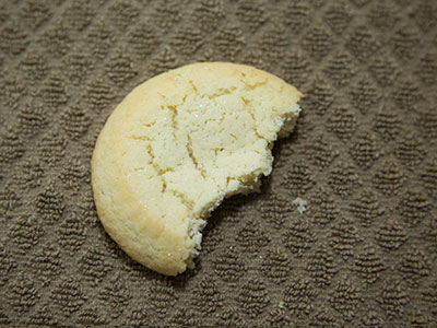 It was harder to make up captions than take the photos.