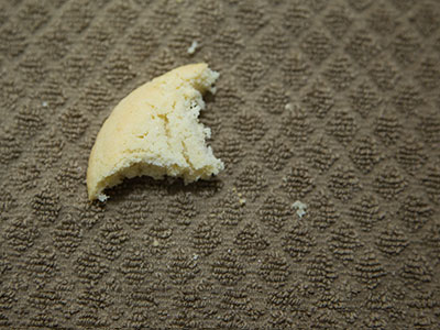 Tomorrow I hope to do better, but it`s supposed to snow.