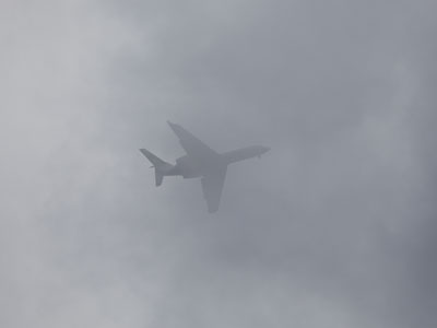 Today is a heavy travel day.  I happily stayed home.