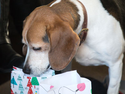 Winston wants chocolate.