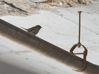 We both had the same idea:  stay inside out of the cold.