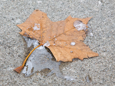 Today I will try hard not to become frozen to the ground.