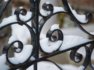 I don`t like cats or snow, but take pictures of both.