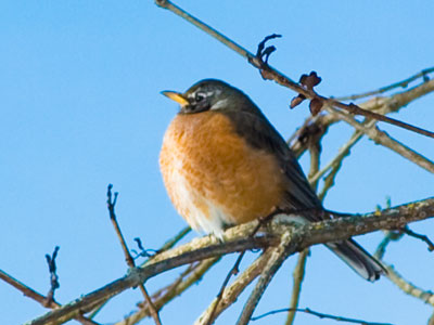 Seriously thinking about migrating.