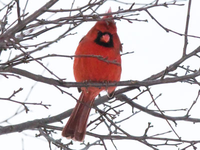 `Whadda you lookin at?`