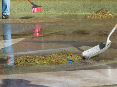 The last remnants of Dayton`s Christmas tree (see November 9 and December 7, 2017).