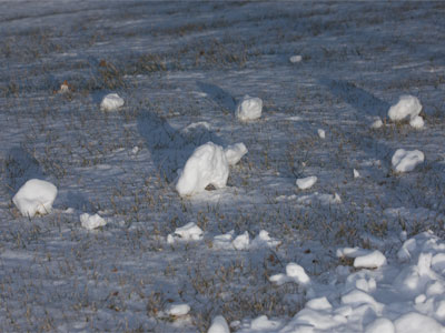 The snowman had a terrible accident.