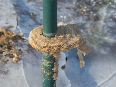 Toxic sludge freezes at a warmer temperature than water (see December 29, 2017).