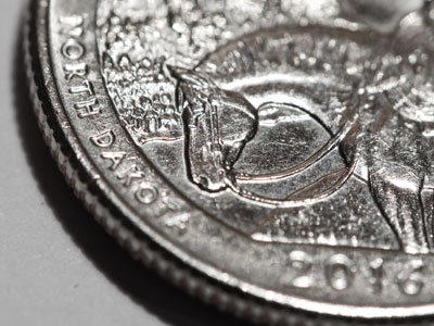 Theodore Roosevelt`s horse.