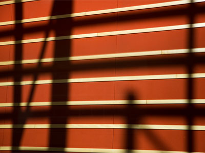 In the sunny Schuster Center.