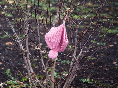 Nature will provide for all of our needs.