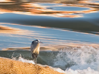 I went to a lot of trouble for this shot.  You`re welcome.