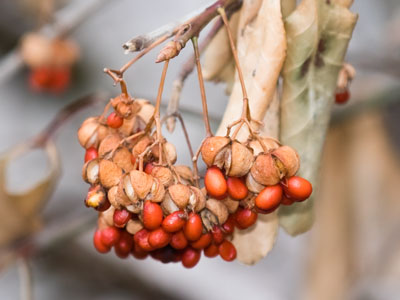 Nature photos taken during the winter are much different than those taken in the spring and summer.