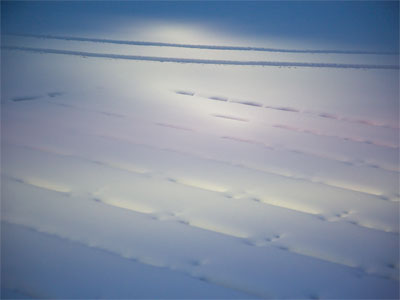 When winter covering all the ground hides every sign of spring however you may look around, pray what will then you sing? PAUL LAURENCE DUNBAR