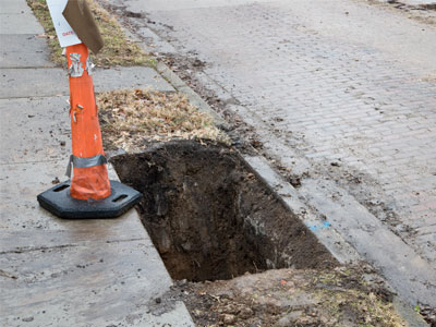 Be careful if you walk your dog around here.