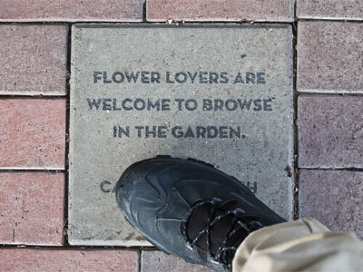 Thanks, I`d be glad to, even when there are no flowers.