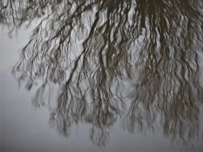 A pond for pondering.