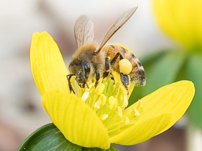 Right here, right now, there is no other place I want to be, watching the world wake up.  JESUS JONES