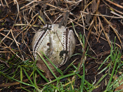 Spring training starts on Friday.