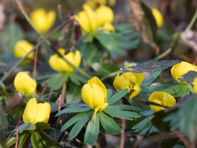 A few hints of spring were visible.