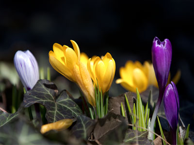 It has gotten difficult to crouch down to take pictures.