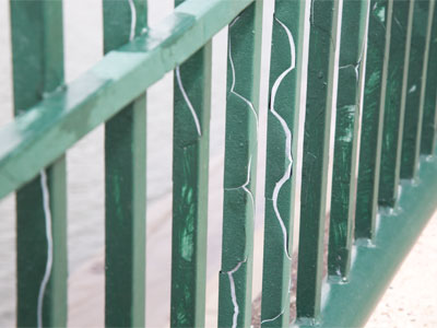 I thought this would make an apeeling photo.