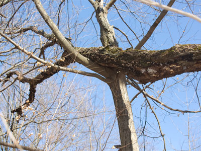 Lean on me when you`re not strong.