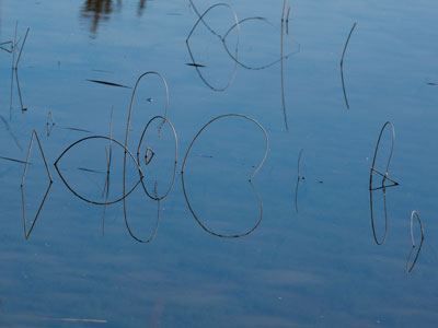 I talked to Brother John Lemker today, and then went outside and shamelessly copied one of his photographs (see May 6, 2007).