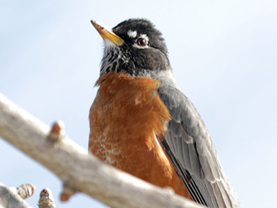 Taken from the parking lot as soon as I arrived.