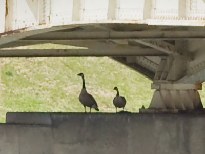 They must`ve patched things up (see March 15 above).