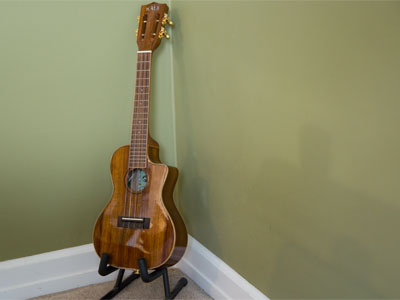 The ukulele originated in Europe, found its way to Hawaii, and now it`s working its way east again.