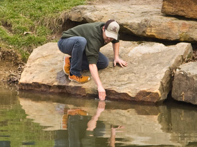 I didn`t get a photo when he grabbed a turtle from the pond, but here he is going after the koi.