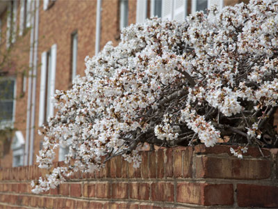 Despite early April snow, it really is springtime.