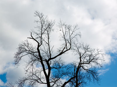 For February 7, this would`ve been a beautiful day.  However today is April 7, so it was brutally cold.