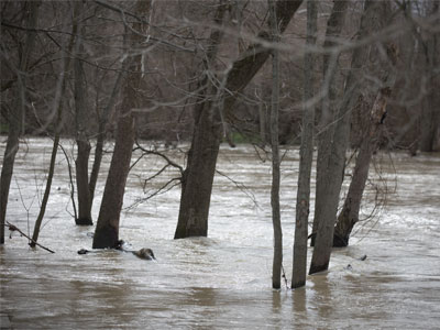 NOTICE:  Today`s picnic has been postponed.